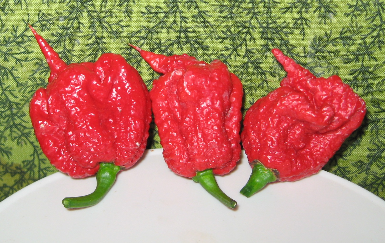 scoville heat scale