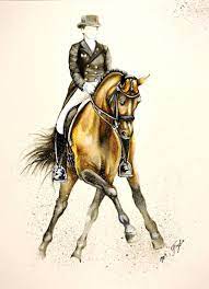 Dressage Horse