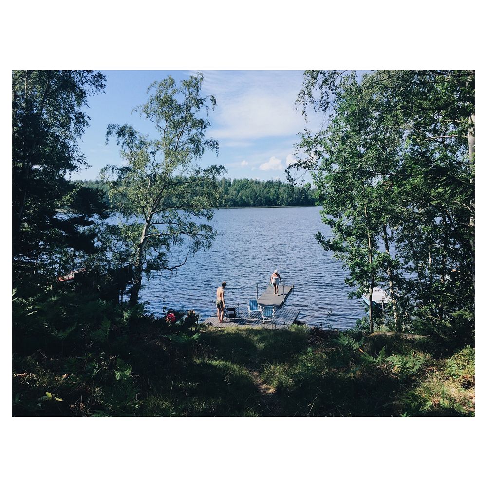 people swimming in the forest