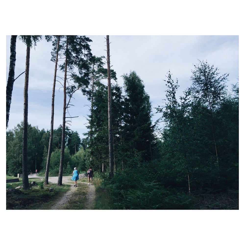 women walking in the forest