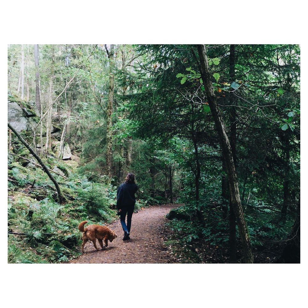 Woman with dog in the forest