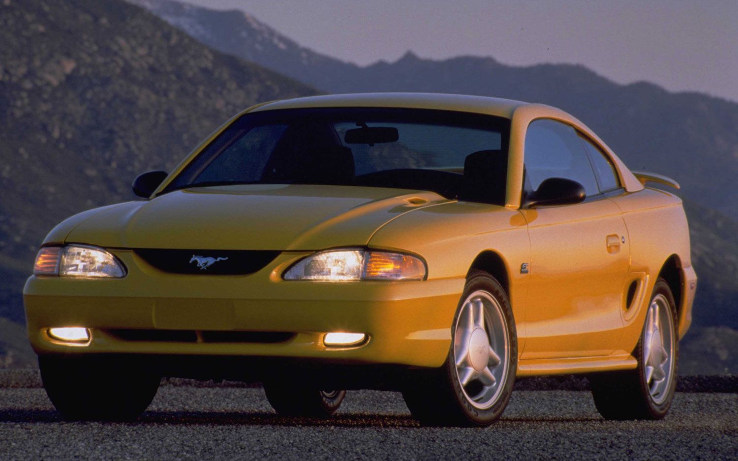 Yellow Mustang