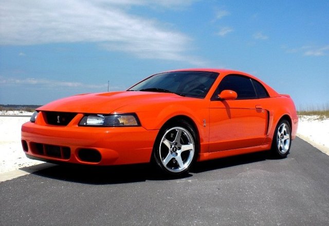 Orange Cobra