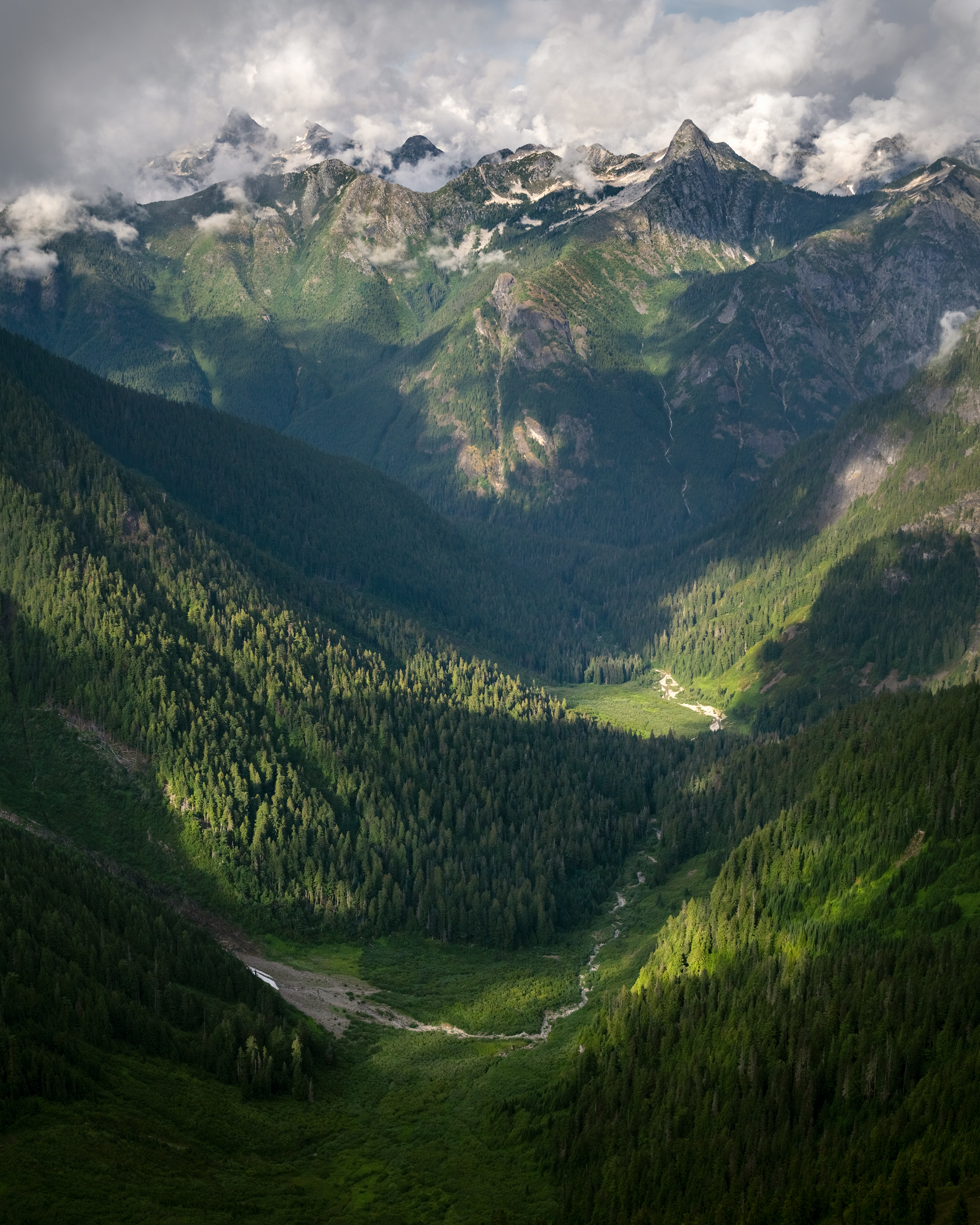 Green and lush Cascade mountains