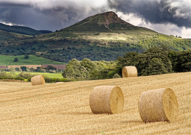 Roseberry Topping