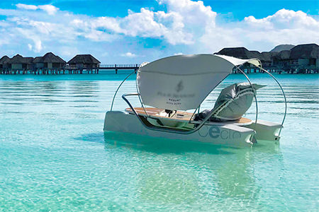 A Ceclo in the water near a tropical beach