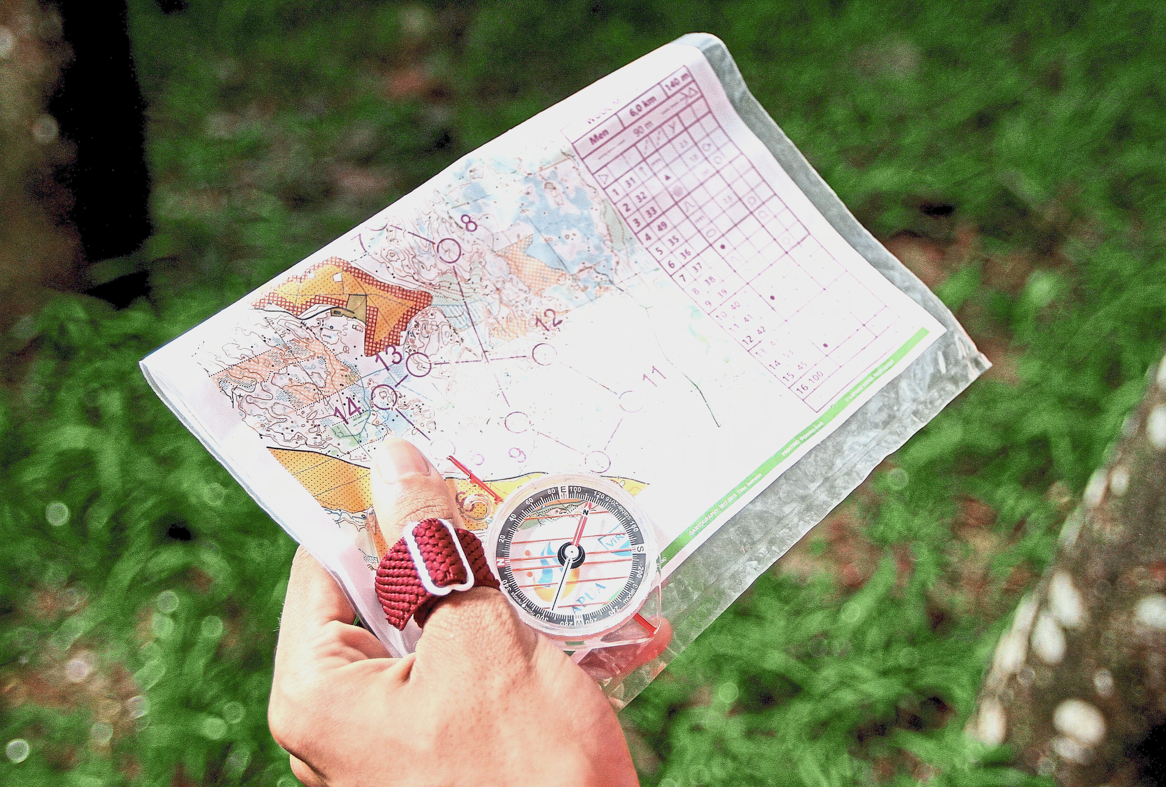 Orienteering