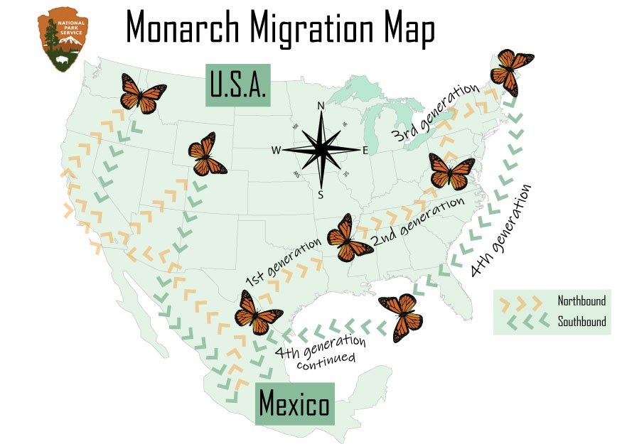 Map showing monarch migration in Mexico and the United States