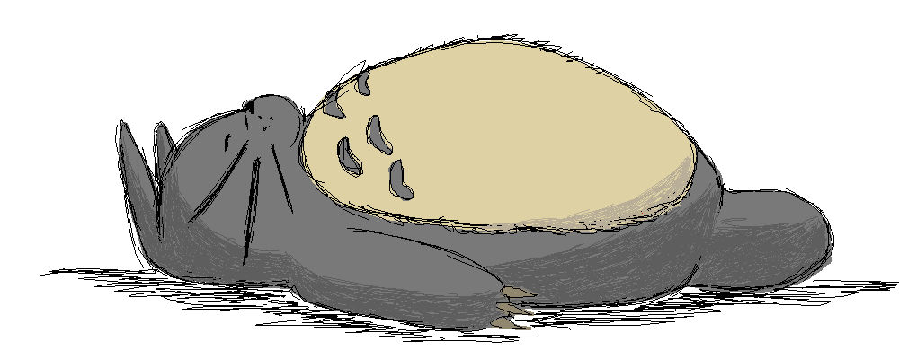 Sleeping Totoro