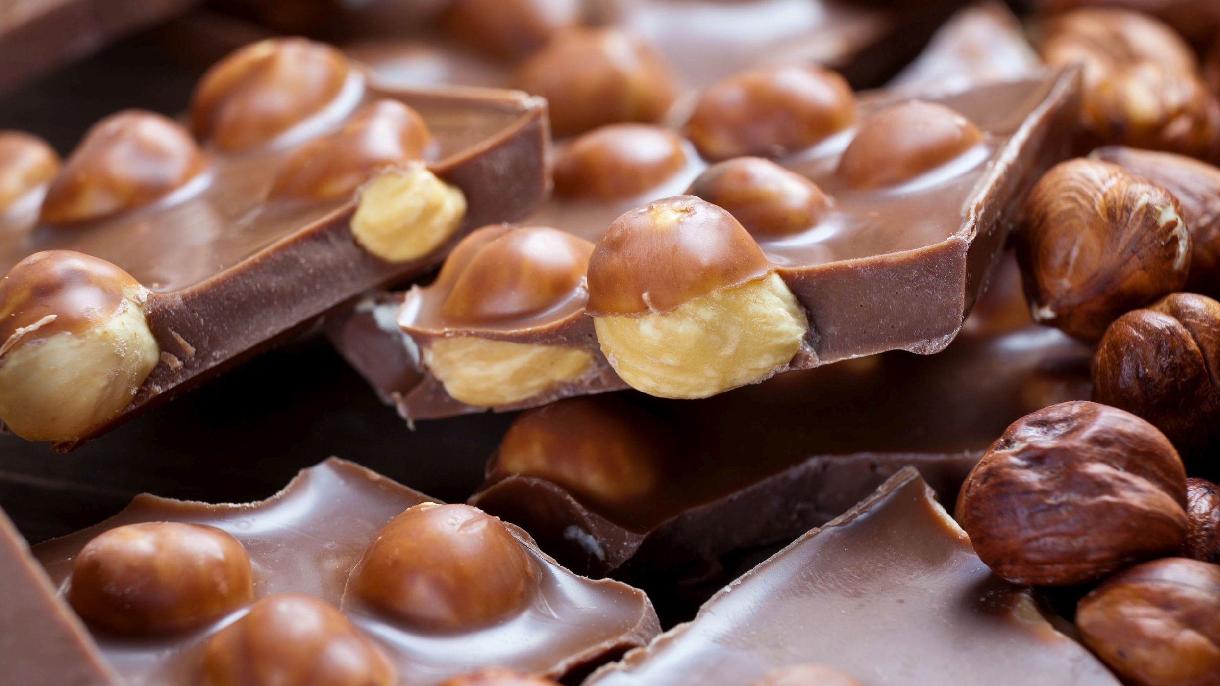 Milk chocolate with hazelnuts