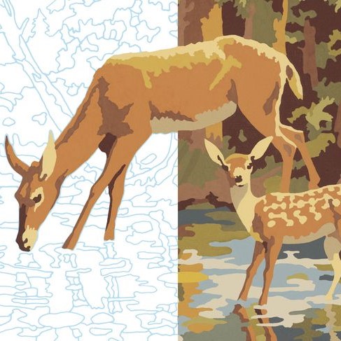 In the process of Paint By Numbers. Nature view, deer drinking water and fawn looking forward