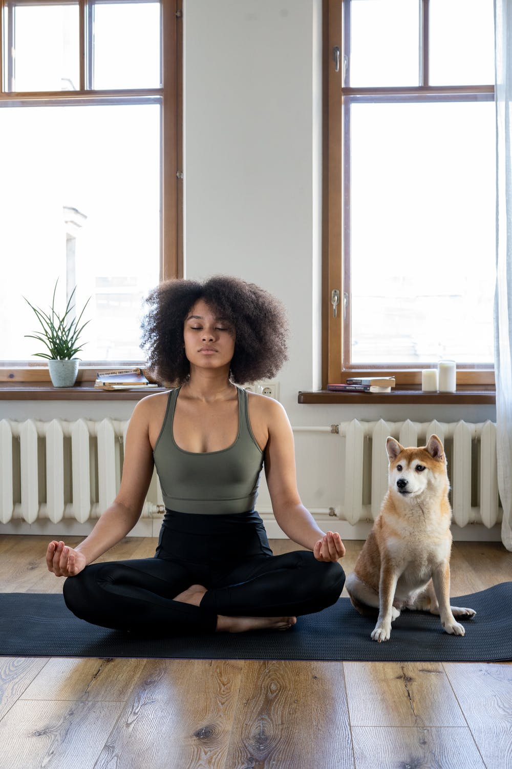 yoga woman and dog
