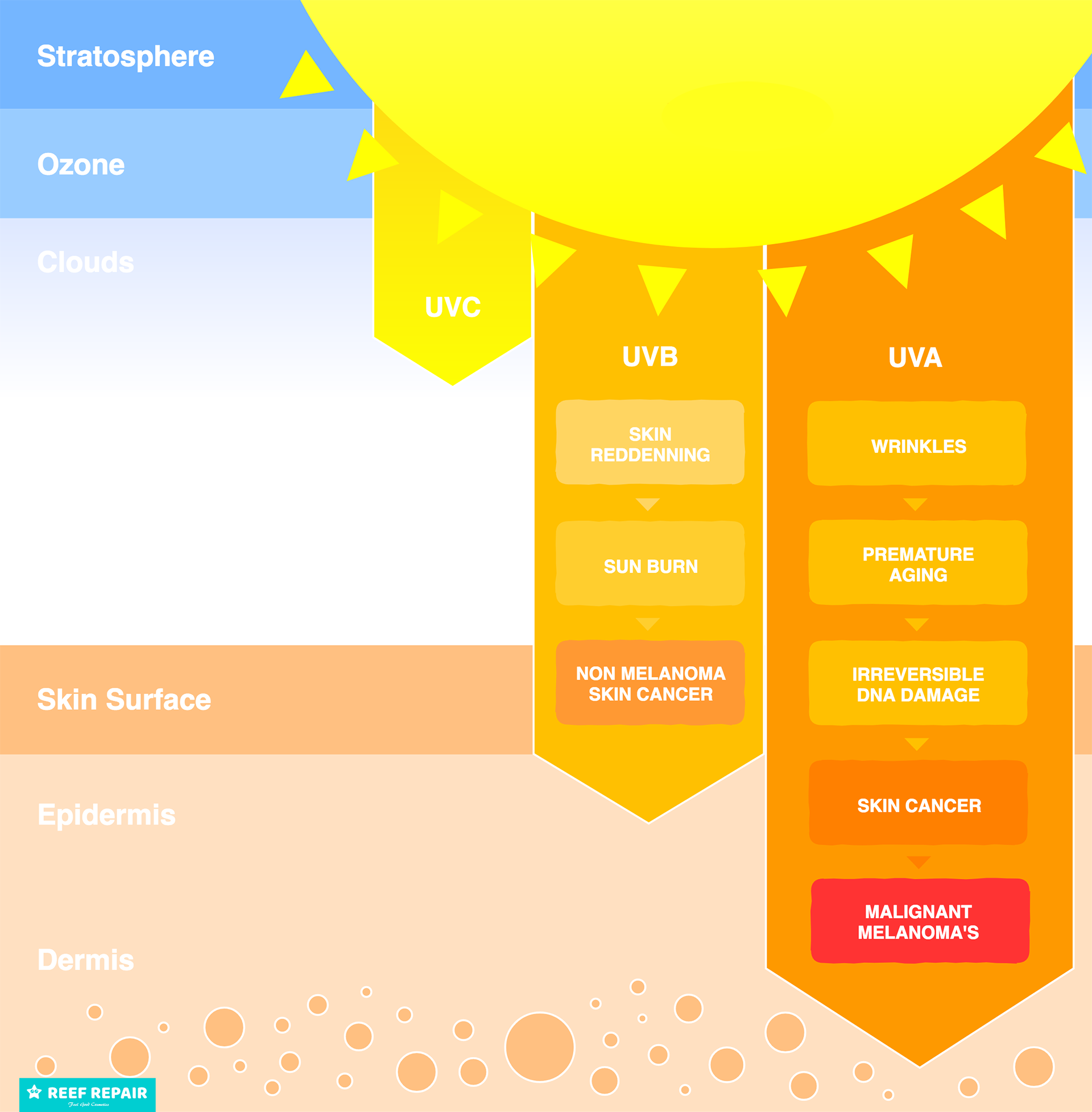UV radiation and the skin
