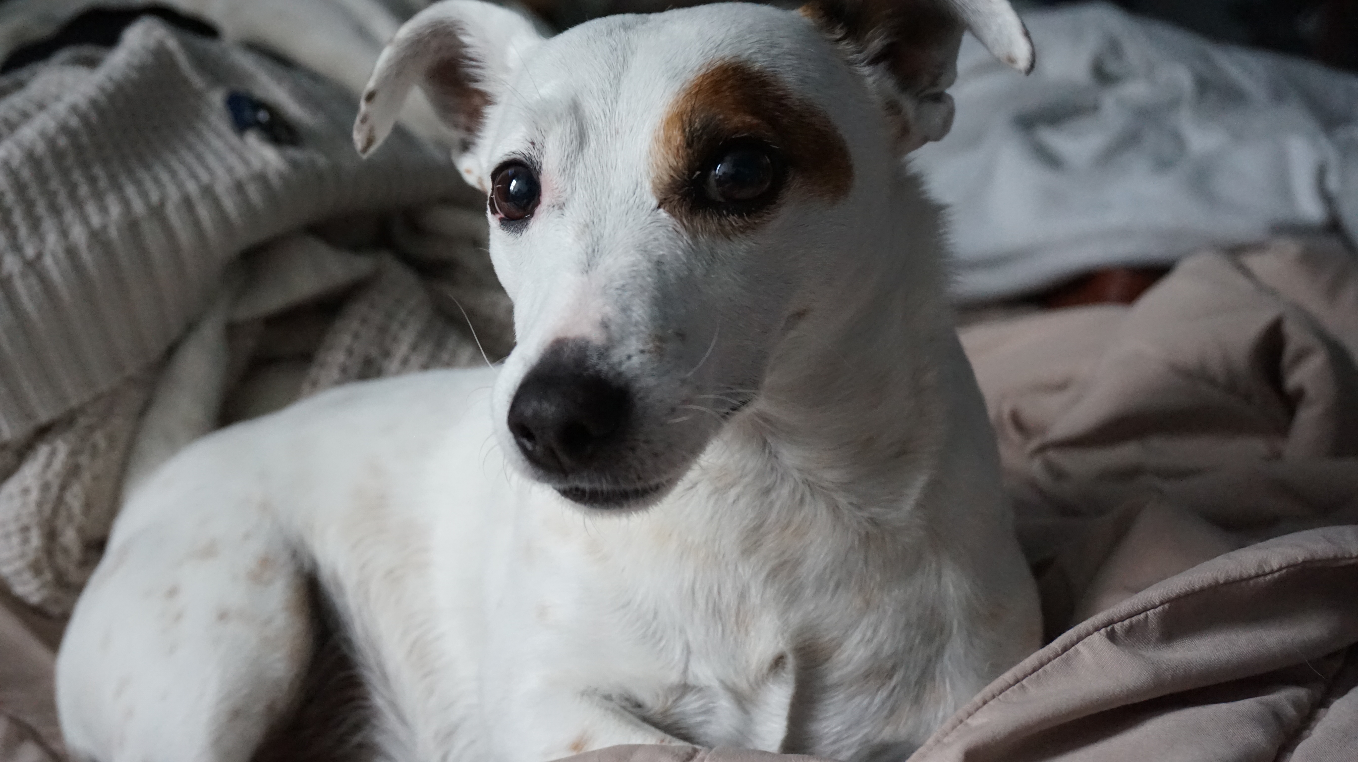 JRT