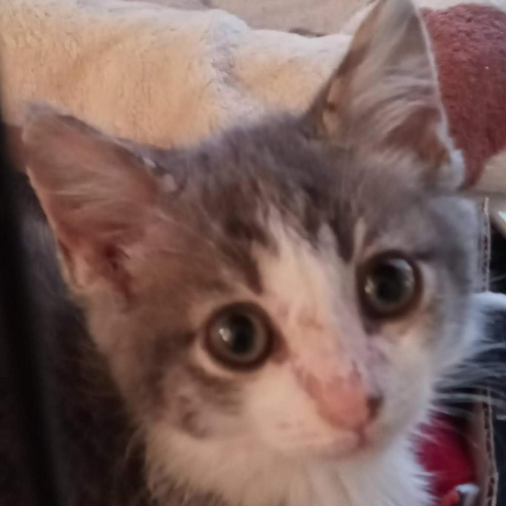 photo of baby oliver