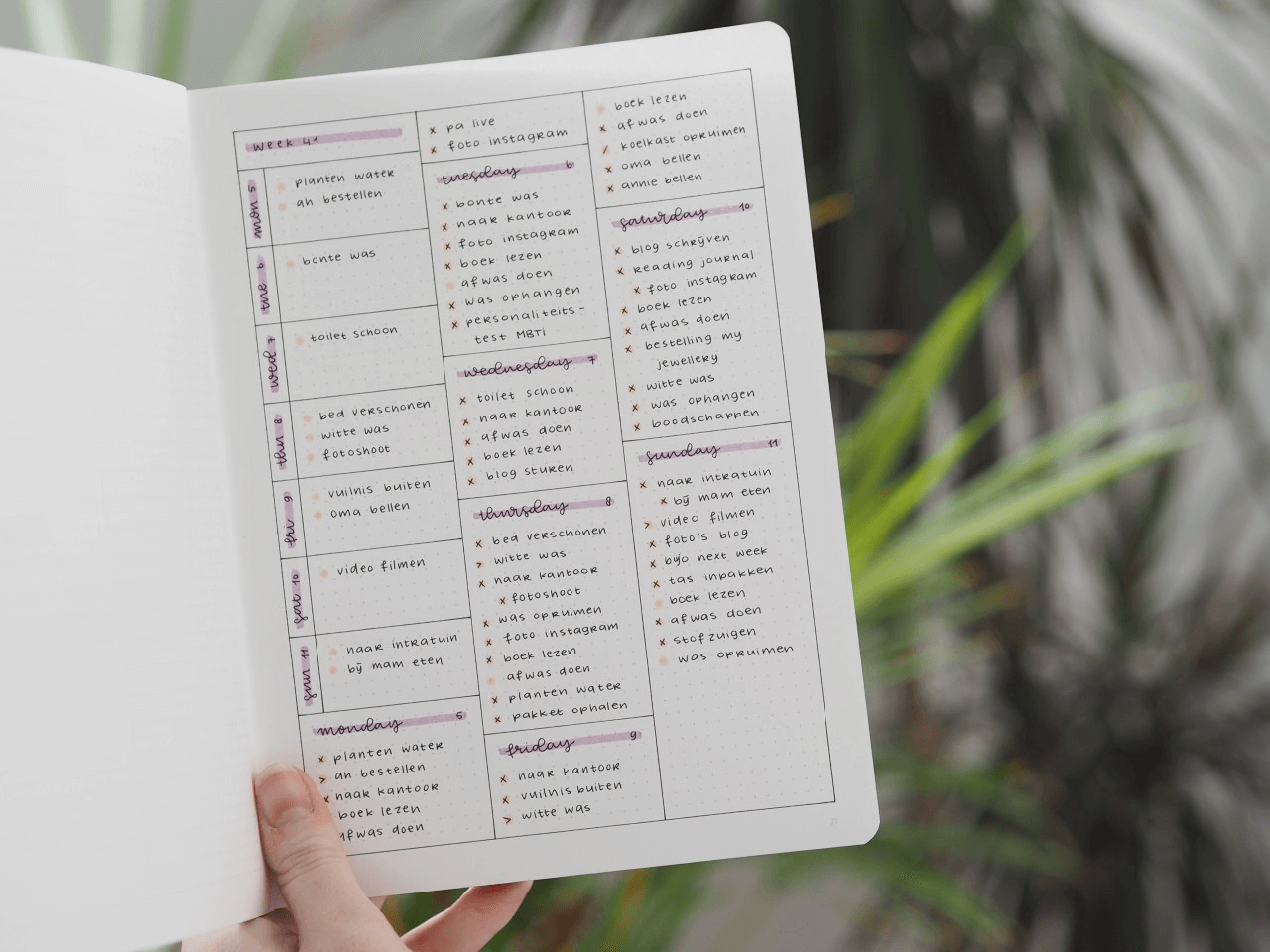 bullet journal picture