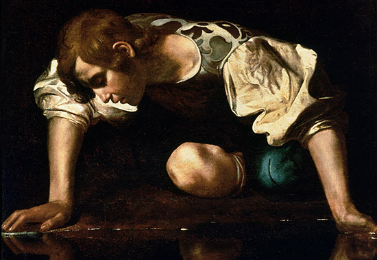 Narcissus