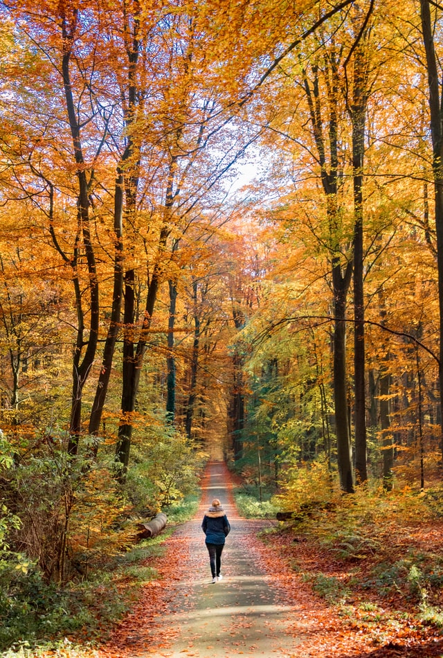 Woman walking through a forest
