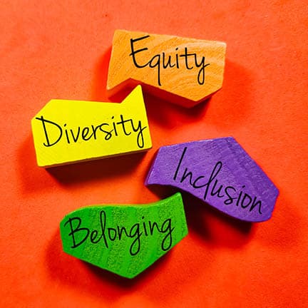 Diversity, Equity, Inclusion, and Belonging