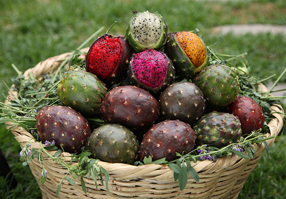 basket of pitayas