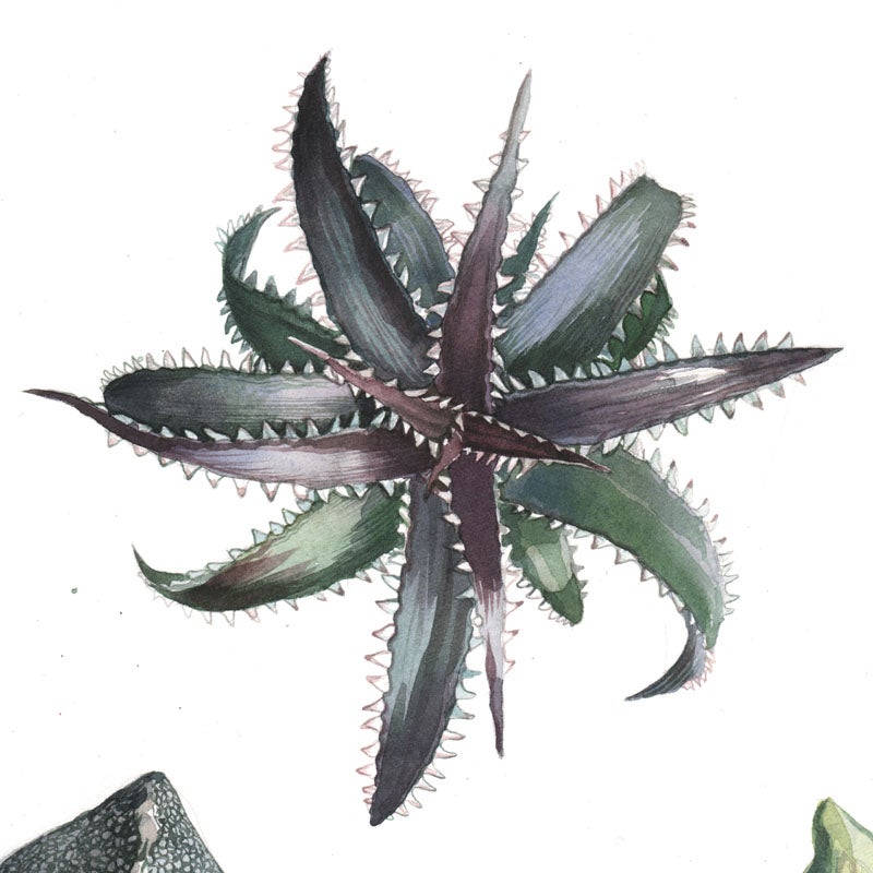 Stéphanie Ledoux art