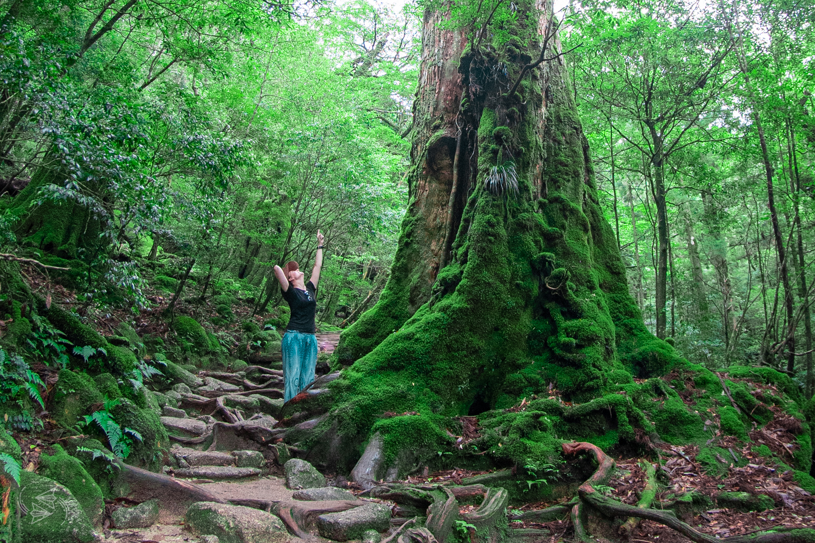 Yakushima, Japan