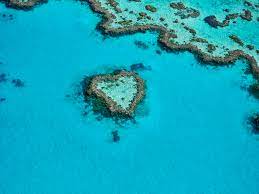 Great barrier Reef heart