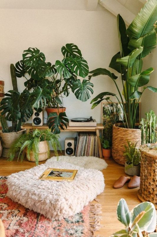 Comfortable reading space with plants
