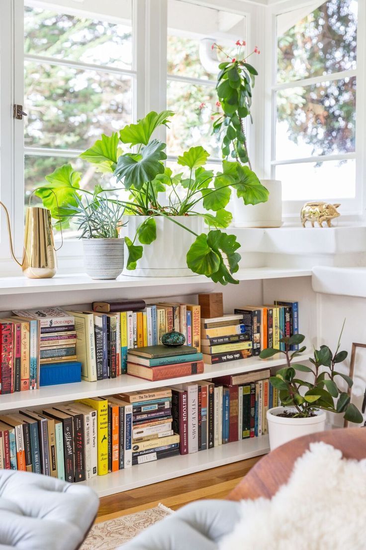 Bookshelf with houseplants