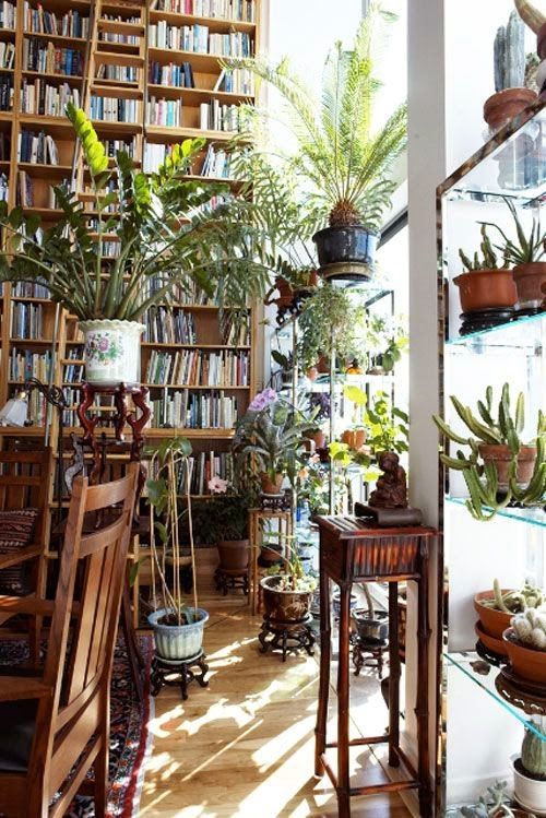 Bookstore hidden under dense greenery