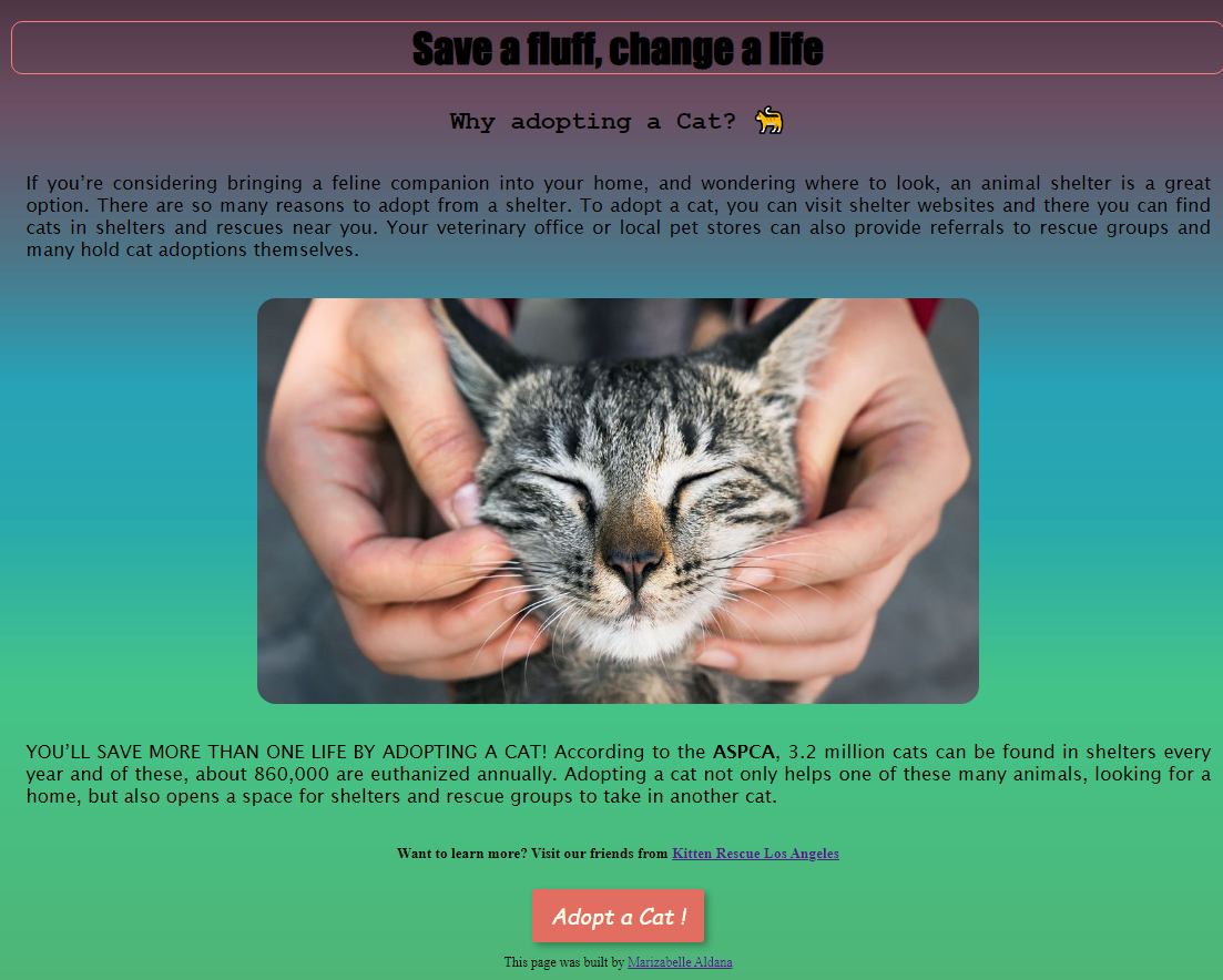 Cat adoption website