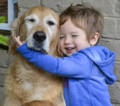 boy hugging golden retreiver
