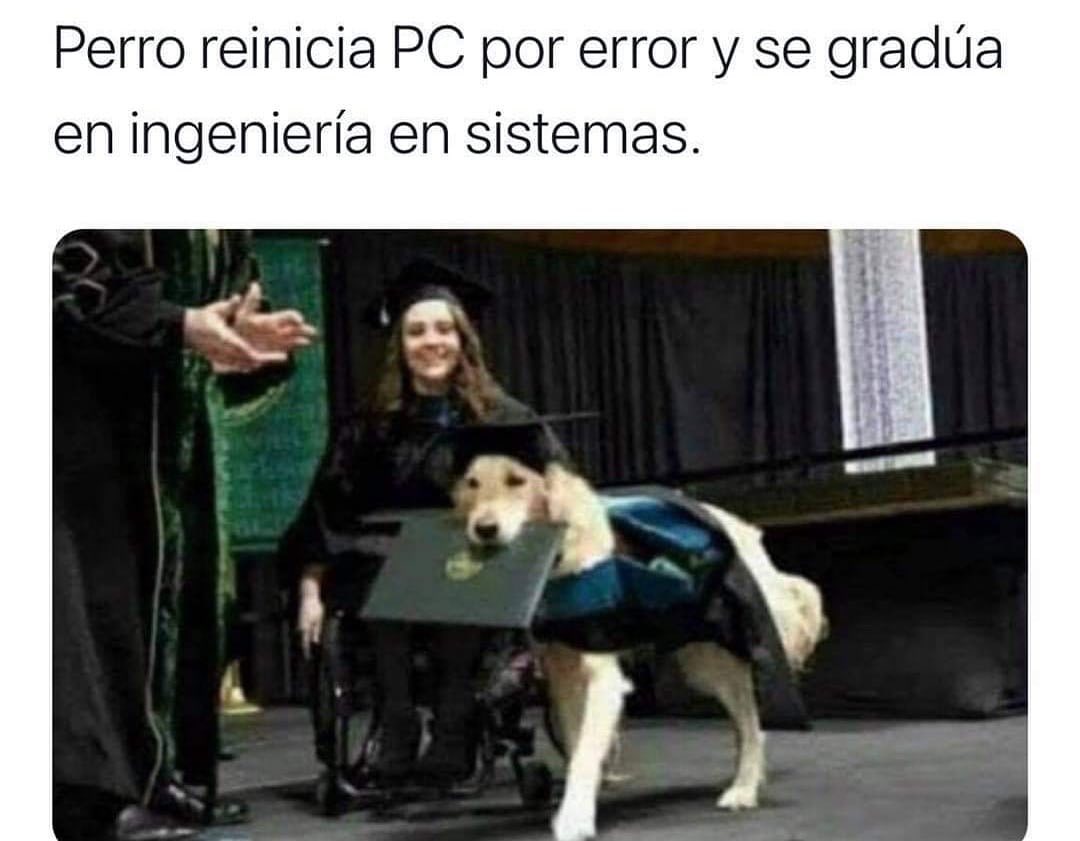 Dog restart PC for accident and graduate in systems engineer