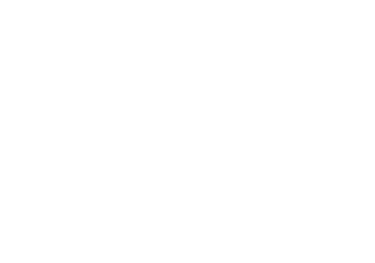 St. Pete Logo