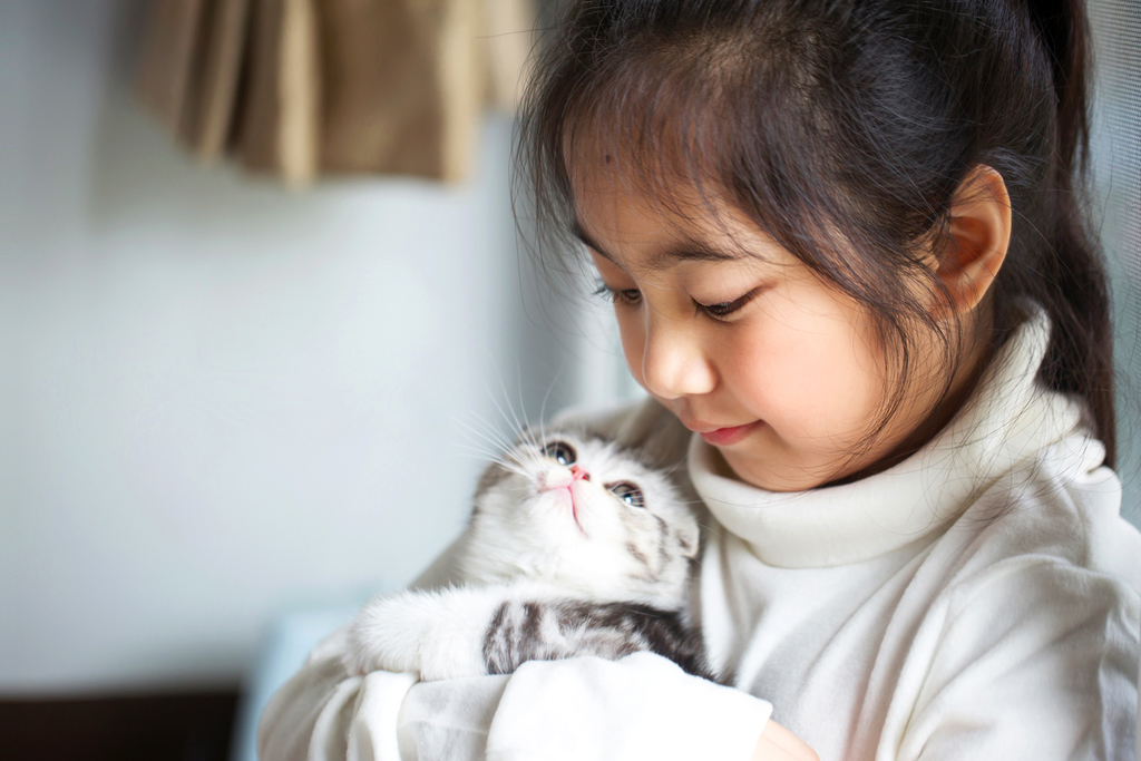 Girl Holding a Cat