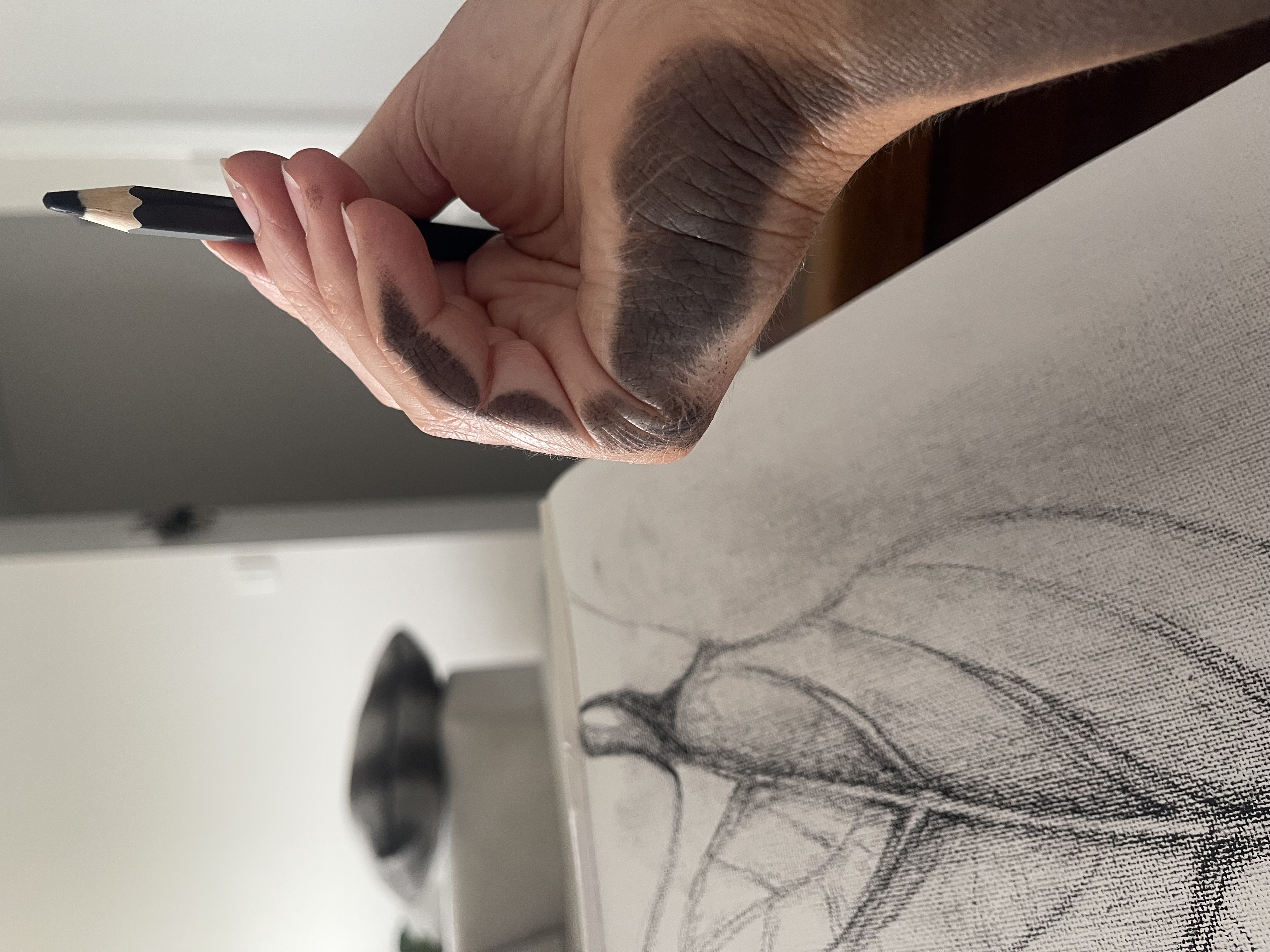 sketching hand