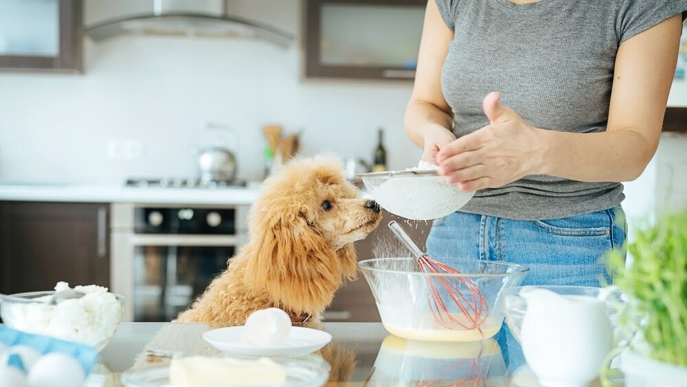 A woman baking with her dog
