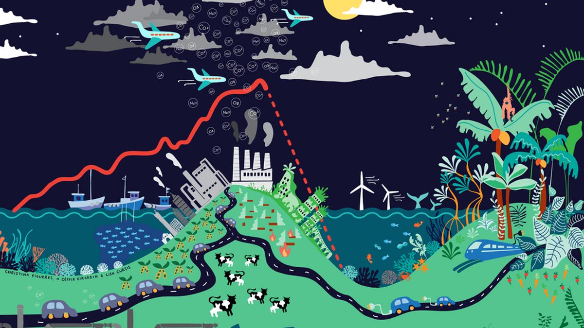 Transition to Renewable energy,Biodiversity conservation, Decarbonization 