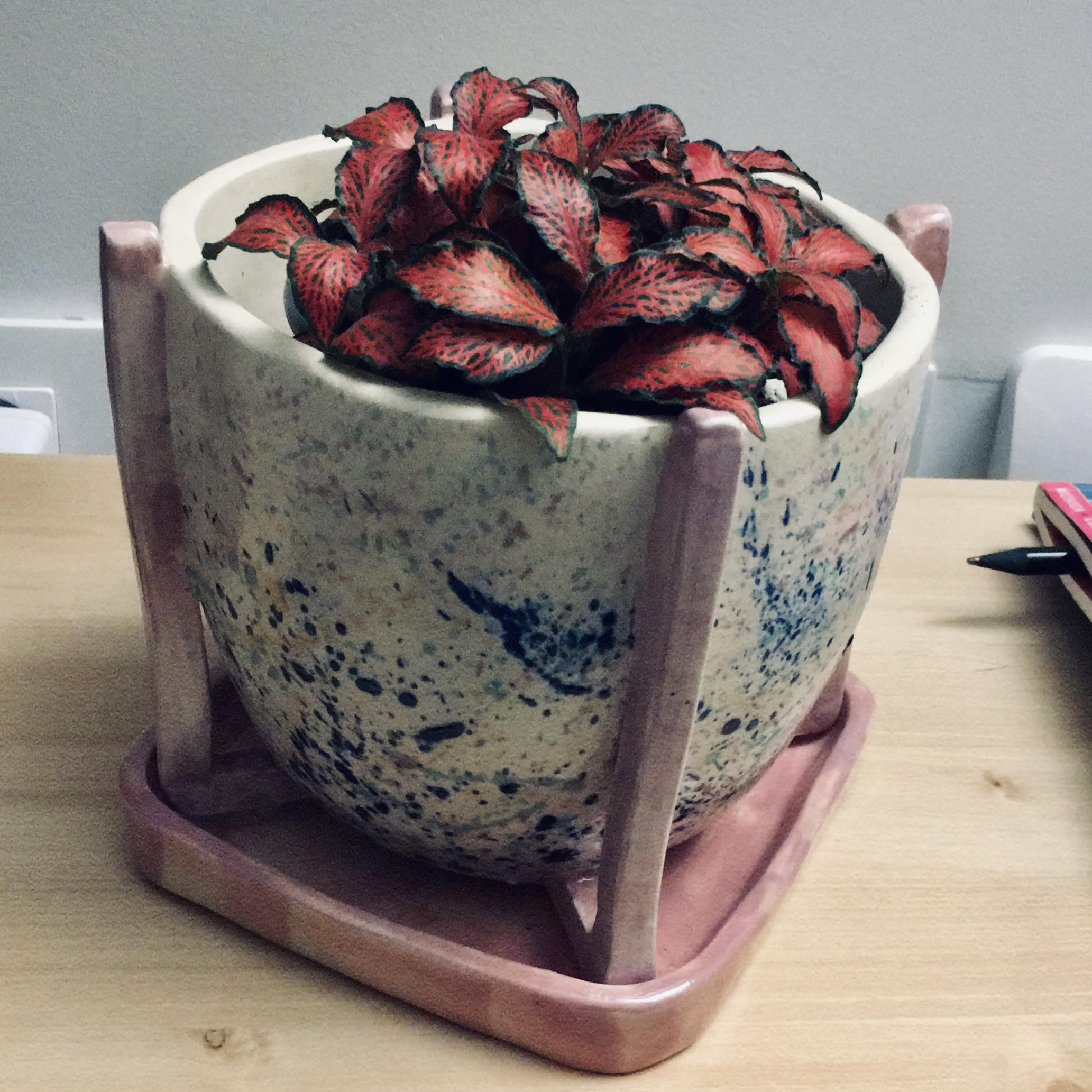 Handmade pottery with coiling technique