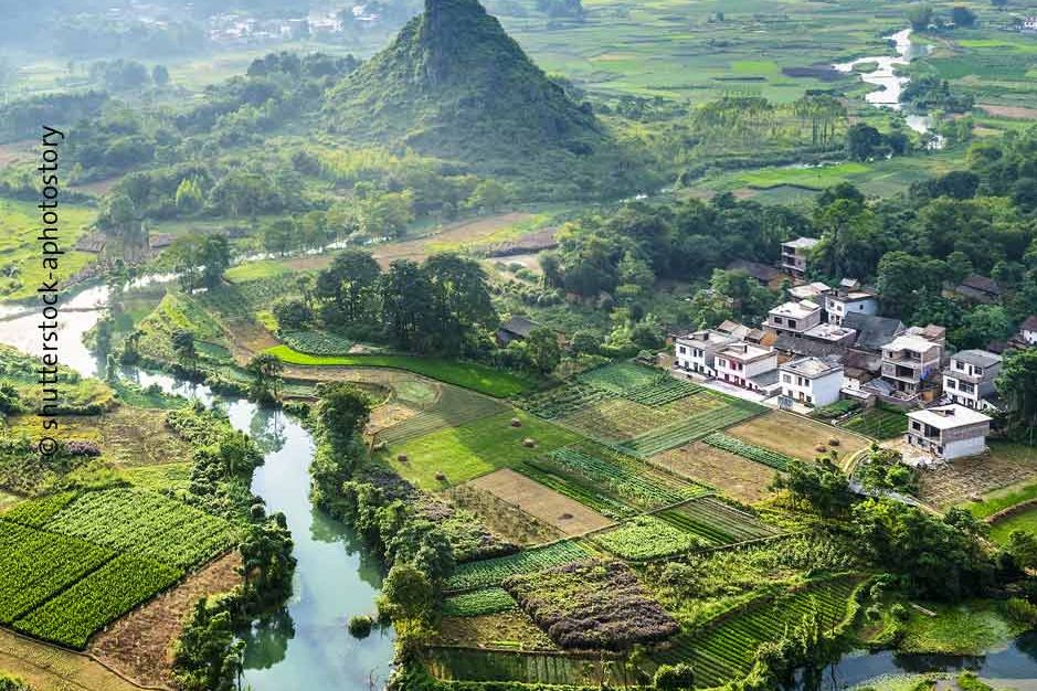 Forest landscape restoration