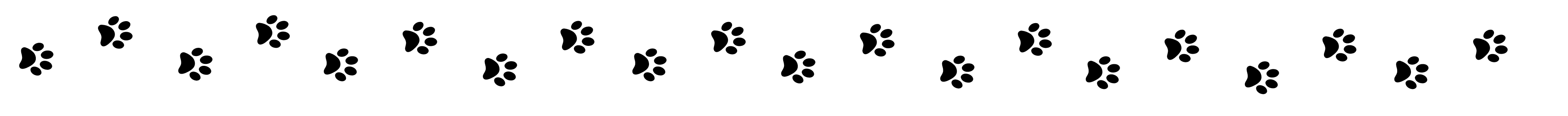 Paw Prints