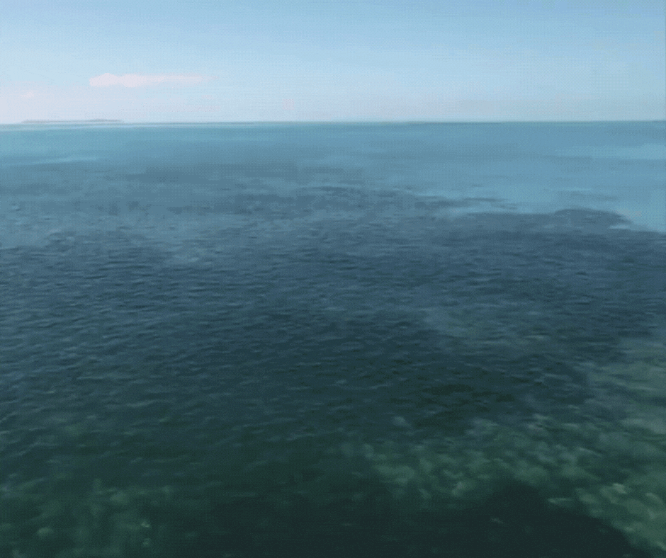 drone footage zooming in on ocean