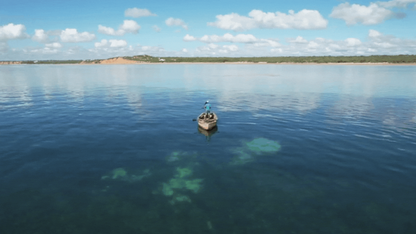 drone footage of beautiful blue ocean and coast
