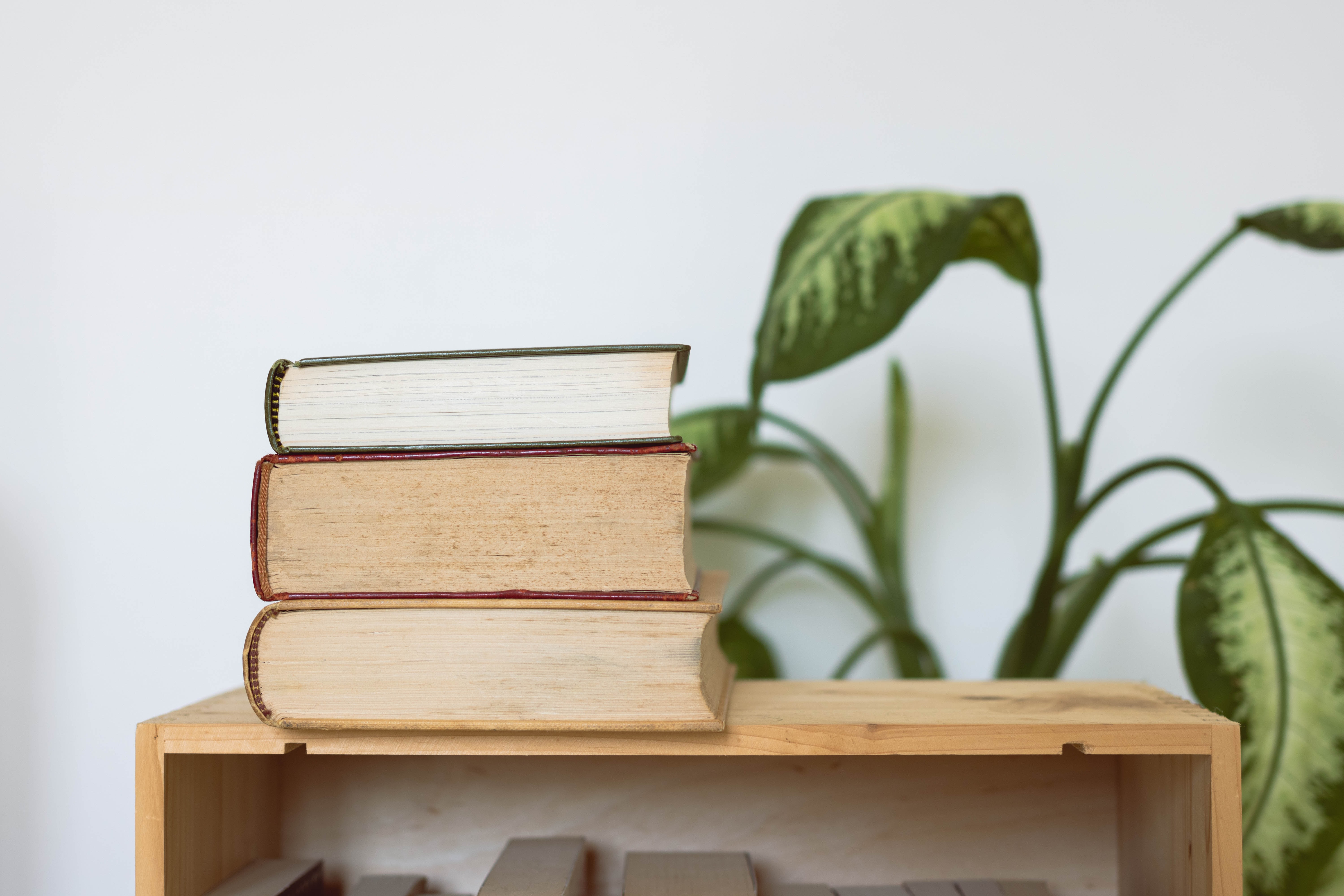 a pile of books on a wooden table, titles are not visible; in the background, there is a plant with green leaves