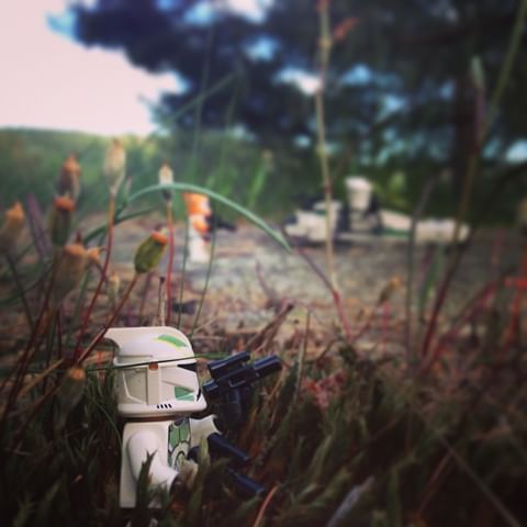 Image of LEGO Strom trooper in tall grass. Photographer Olivia Dahlen