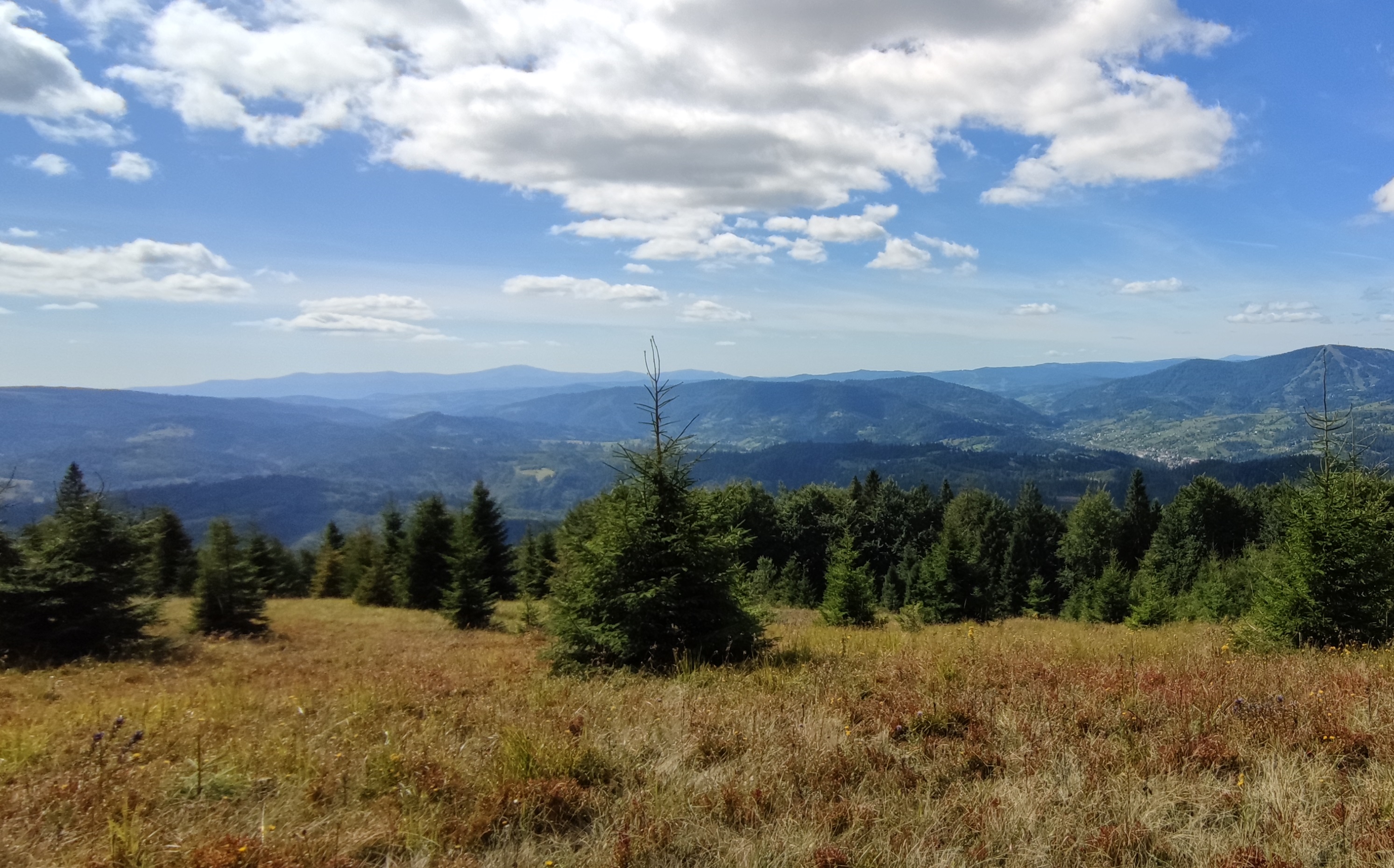 Ukrainian Carpathians
