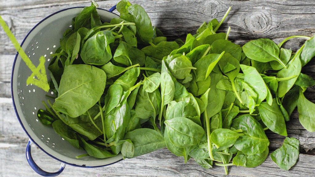 Spinach leaves