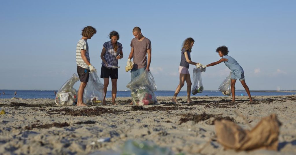 Beach Clean-up