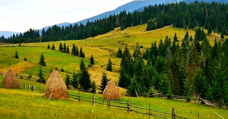 The nature of Transcarpathia