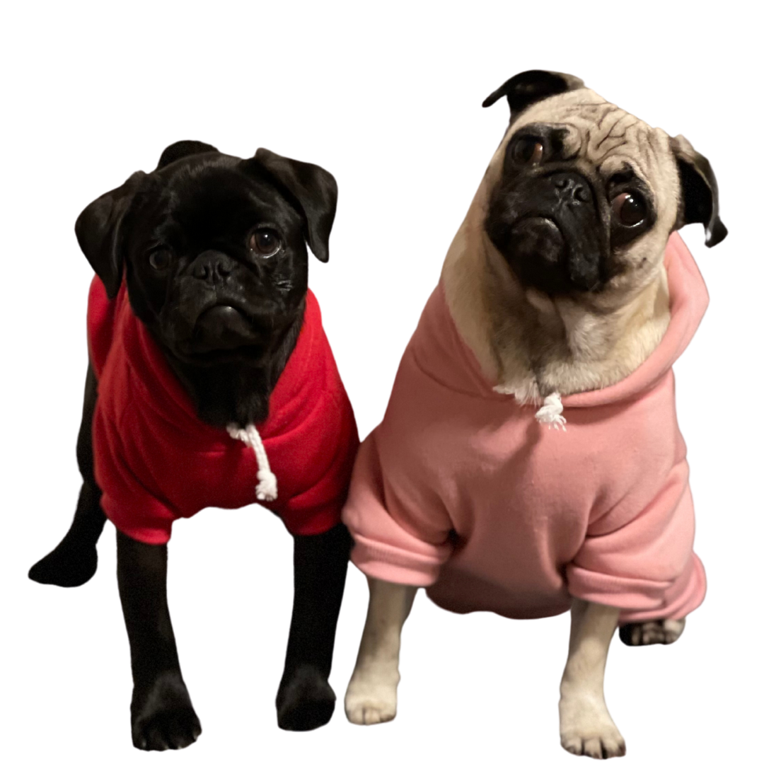 pugs lupe & huilo